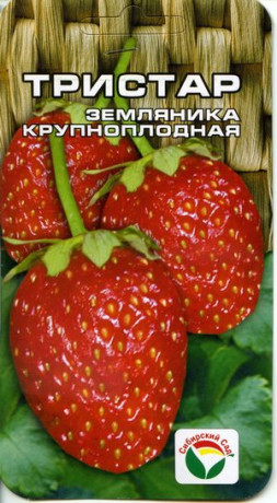 Земляника крупноплодная Тристар (сс) 10шт