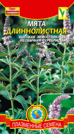 Мята Длиннолистная (плазмас) 0,03гр