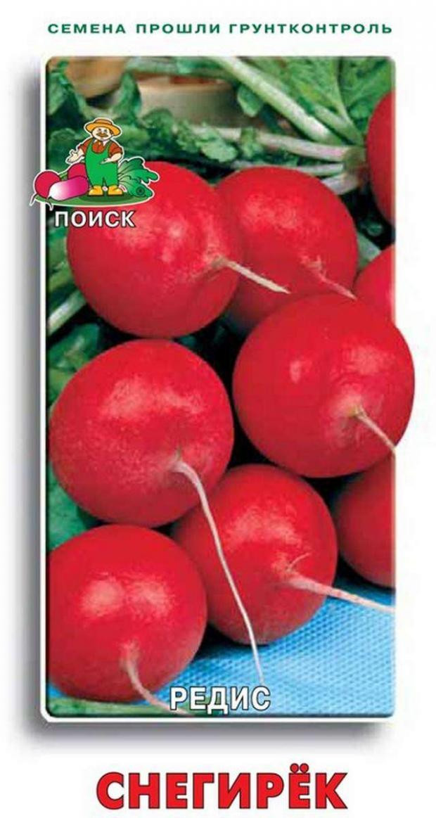 Где Купить Семена Редиса