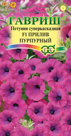 Петуния Прилив пурпурный F1 (г) 4шт