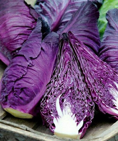 Капуста к/к Красное сердце (поиск) 0,1гр