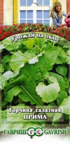 Горчица листовая Прима (гавриш) 1,0 гр (урожай на окне)