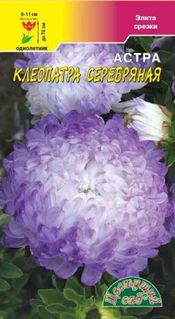 Астра Клеопатра серебряная (цветущий сад) 0,2гр