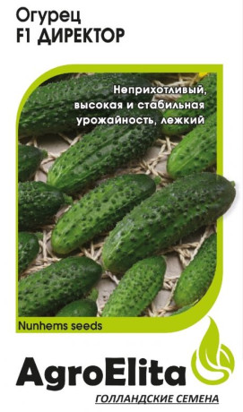 Огурец Директор F1 (агроэлита) 5шт (nunhems)
