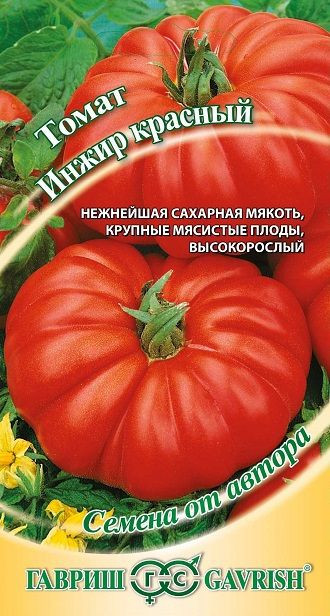 Томат Инжир Красный Фото