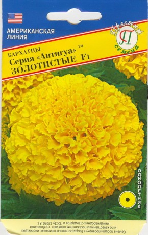 Бархатцы Антигуа F1 золотистые (престиж) 5 шт