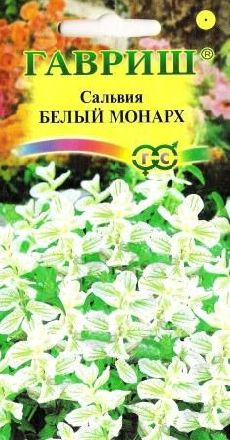 Сальвия Белый монарх (гавриш) 0,05гр