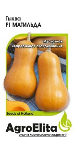 Тыква Матильда F1 (агроэлита) 5 шт (Enza Zaden)