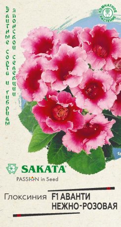 Глоксиния Аванти нежно-розовая F1 (г) 5шт