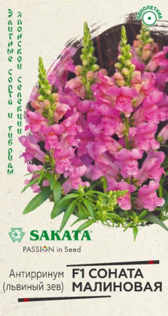 Львиный зев Соната малиновая F1 (г) 7шт