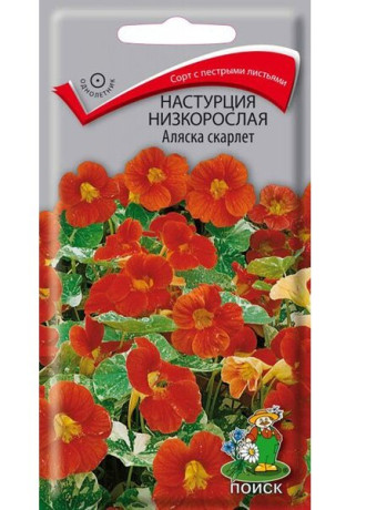 Настурция низкорослая Аляска Скарлет (поиск) 1,0гр