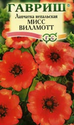 Лапчатка Мисс Вильмотт (гавриш) 0,01 гр