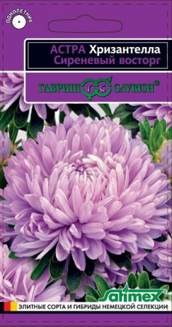 Астра Сиреневый восторг (Хризантелла) (г) 0,05гр