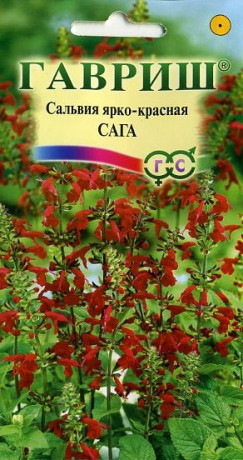 Сальвия Сага (гавриш) 0,05гр