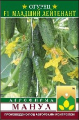 Огурец Младший лейтенант F1 (манул) 10шт