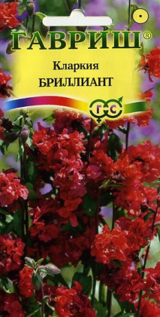 Кларкия Бриллиант (гавриш) 0,05гр