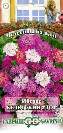 Иберис Кельтский узор (гавриш) 0,1гр