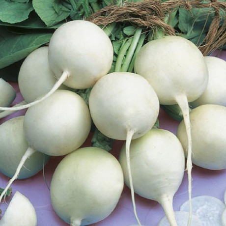 Редис Белый жемчуг (поиск) 3,0гр