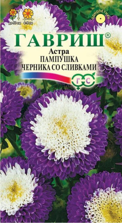 Астра Пампушка черника со сливками (гавриш) 0,3гр