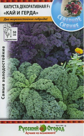 Капуста декоративная Кай и Герда F1 (нк) 60шт