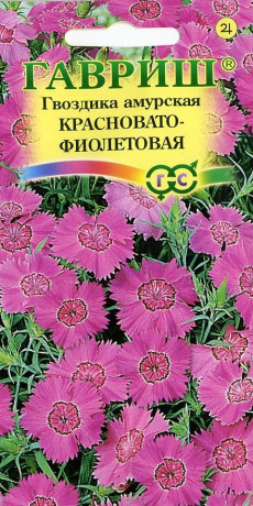 Гвоздика амурская Красновато-фиолетовая (гавриш) 0,02гр многолетник