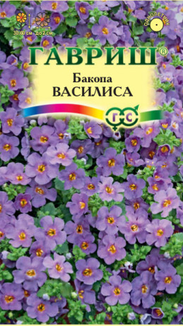 Бакопа Василиса (гавриш) 3шт