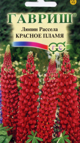 Люпин Красное пламя (гавриш) 0,5 гр