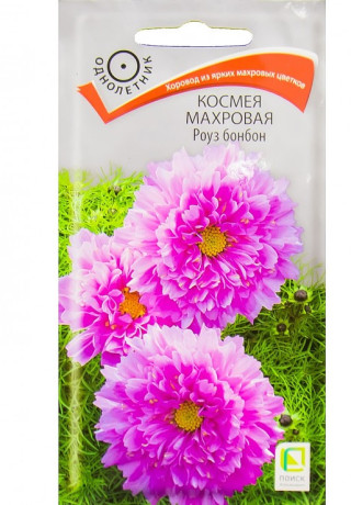 Космея махровая Роуз Бонбон (поиск) 0,1гр