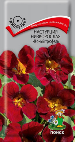 Настурция низкорослая Черный трюфель (поиск) 1,0гр