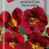 Настурция низкорослая Черный трюфель (поиск) 1,0гр