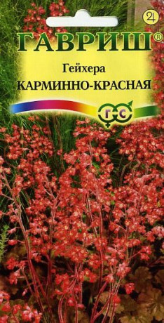 Гейхера Карминно-красная (Хеухера) (г) 0,01гр