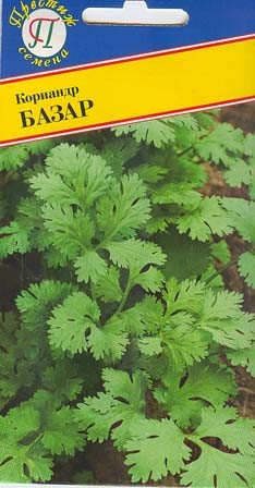 Кориандр (кинза) Базар (пр)