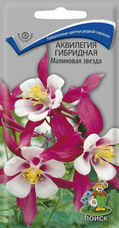 Аквилегия гибридная Малиновая звезда (поиск) 0,05гр 
