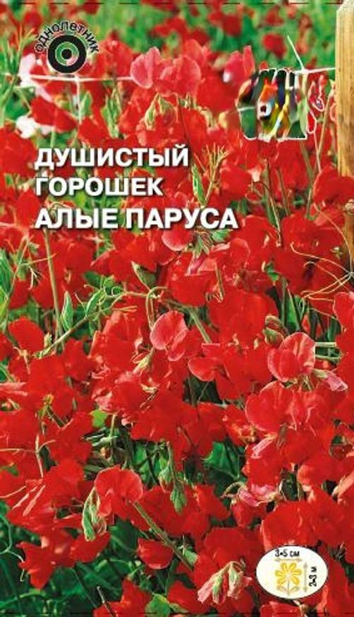 Купить Семена Алый Сахар