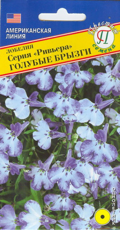 Лобелия ампельная Голубые брызги (серия Ривьера) (престиж) 5шт