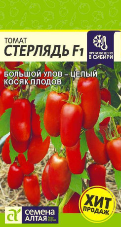 Томат Стерлядь F1 (семена Алтая) 5шт