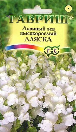 Антирринум (львиный зев) Аляска (г) 0,05 гр