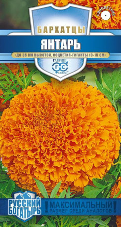 Бархатцы Янтарь (гавриш) 0,1 гр