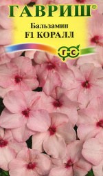 Бальзамин Коралл уоллера 4шт (г)