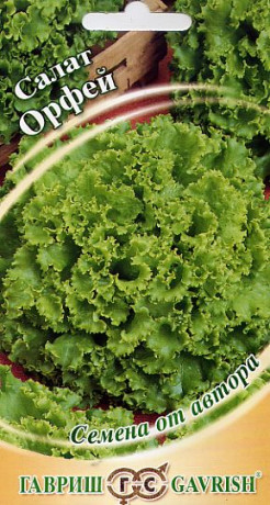 Салат листовой Орфей (гавриш) 1,0 гр