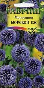 Мордовник Морской еж (гавриш) 0,3гр