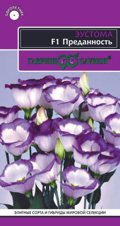 Эустома Преданность F1 (гавриш) 4 шт