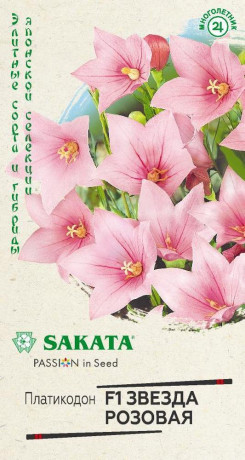 Платикодон Розовая звезда F1 (гавриш) 4шт