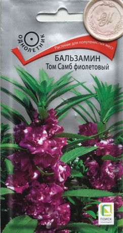 Бальзамин Том Самб фиолетовый (поиск) 0,1г