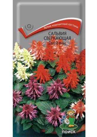 Сальвия сверкающая Дварф микс(поиск) 0,1г