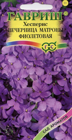 Хесперис женский Вечерница Матроны фиолетовая (г) 0,1гр