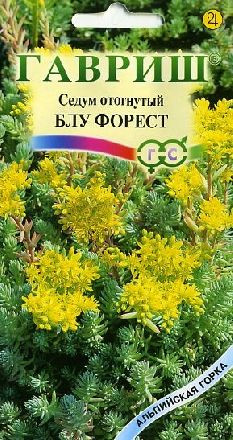 Седум Блу форест (гавриш) 0,01гр