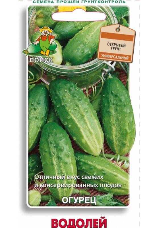 огурец водолей (поиск) 0,5гр купить в интернет-магазине, доставка по России