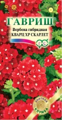 Вербена Кварц хр скарлет (г) 4шт