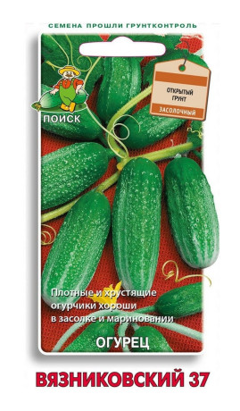 Огурец Вязниковский (поиск) 0,5гр